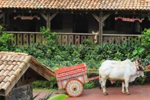 Traditional Costa Rican Home