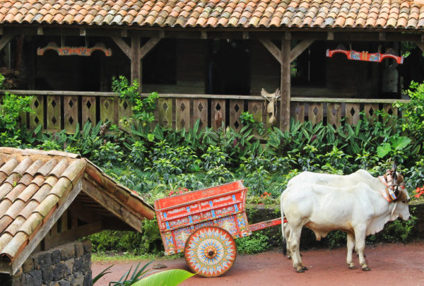 Traditional Costa Rican Home